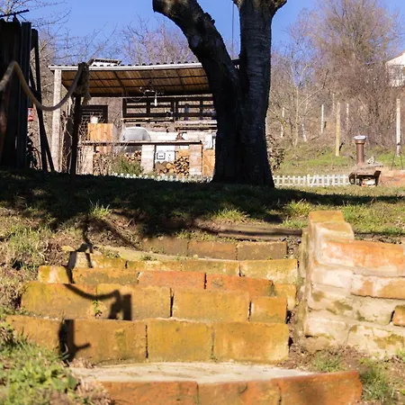 Menyecske Keszu